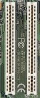 bus_pci.jpg (7074 bytes)