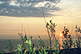 Saullkts Ragaciem 31.05.2003.