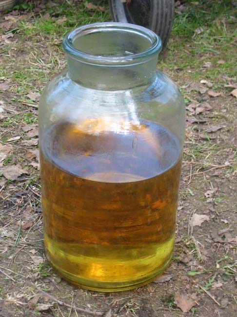 Talka 029