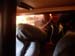 Brabus_zem_galda