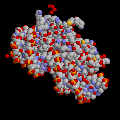 Proteinu trisdimensionala struktura